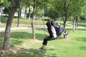 40''Round Rope Swing Nest Web Hanging Swing Seat Sets Heavy Duty for Garden Backyard Outdoor for Kids Children Adult