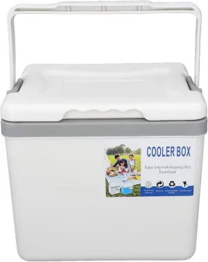 6L Portable Cooler Box, Insulated Ice Box with Large Capacity for Food Freshness and Cold Drinks, Premium Material for Home, Fishing, Picnic, Stall Freezer