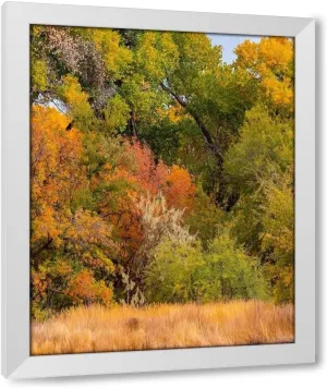 ArtDirect Verde River Valley near Camp Verde-Arizona-USA 15x18 White Modern Wood Framed Art Print by Fitzharris, Tim