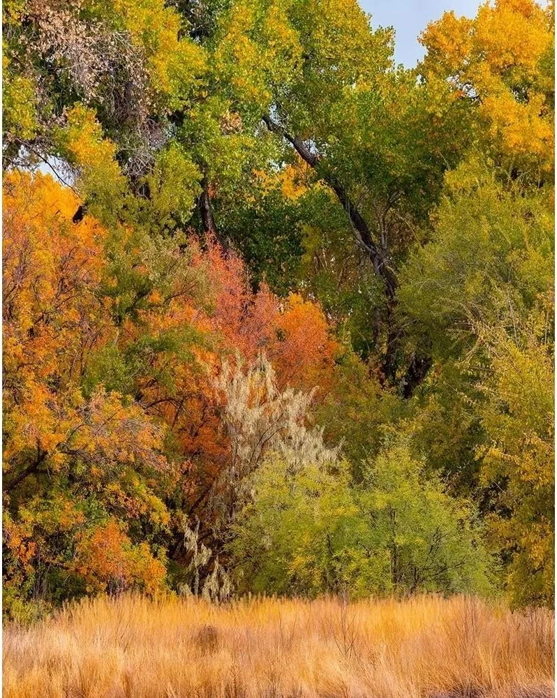 ArtDirect Verde River Valley near Camp Verde-Arizona-USA 15x18 White Modern Wood Framed Art Print by Fitzharris, Tim
