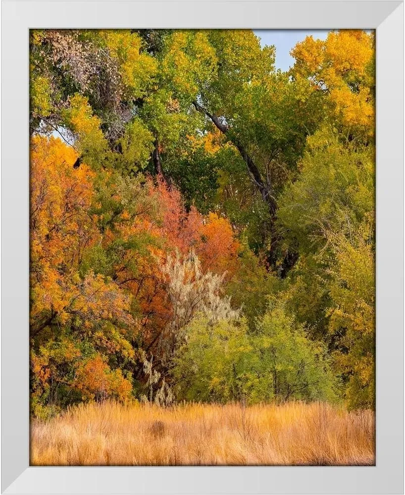 ArtDirect Verde River Valley near Camp Verde-Arizona-USA 15x18 White Modern Wood Framed Art Print by Fitzharris, Tim
