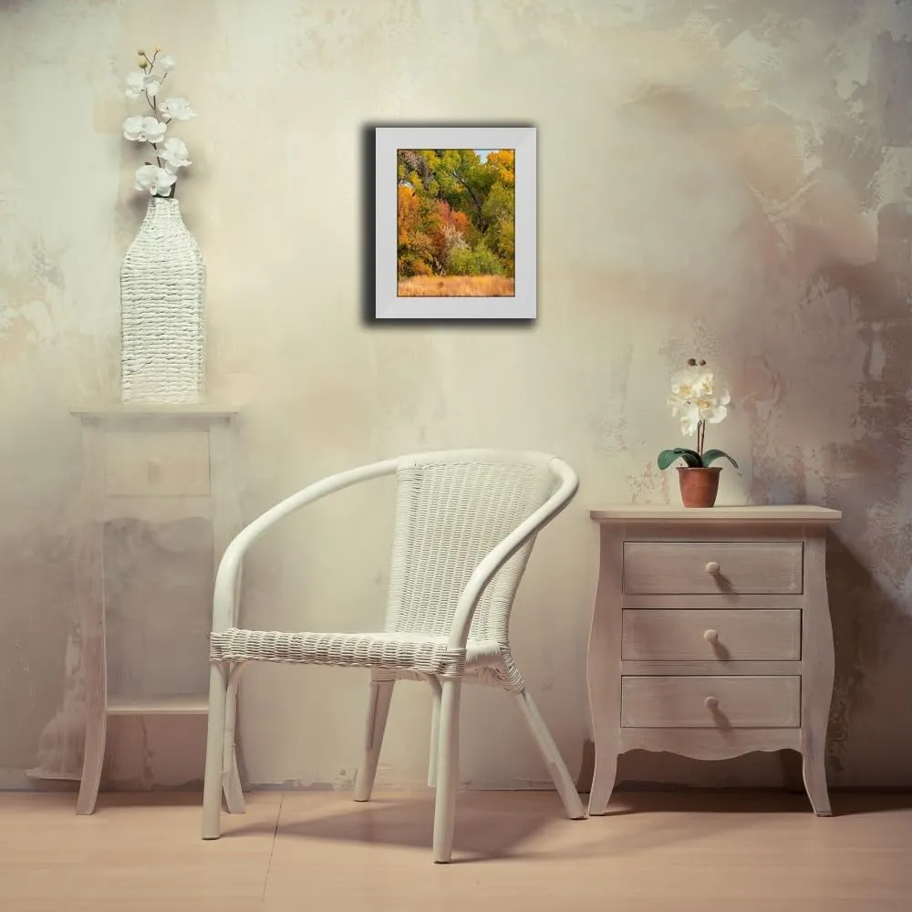 ArtDirect Verde River Valley near Camp Verde-Arizona-USA 15x18 White Modern Wood Framed Art Print by Fitzharris, Tim