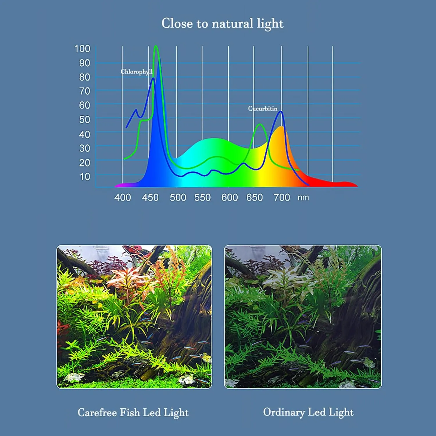 Carefree Fish Aquarium LED Light USB 5V RGBW 5730 Timmer 5~10Gal Fish Tank Clip Light for Rimless Tank 10 Brightness Levels 8W with USB Port (Include Power Adapter)