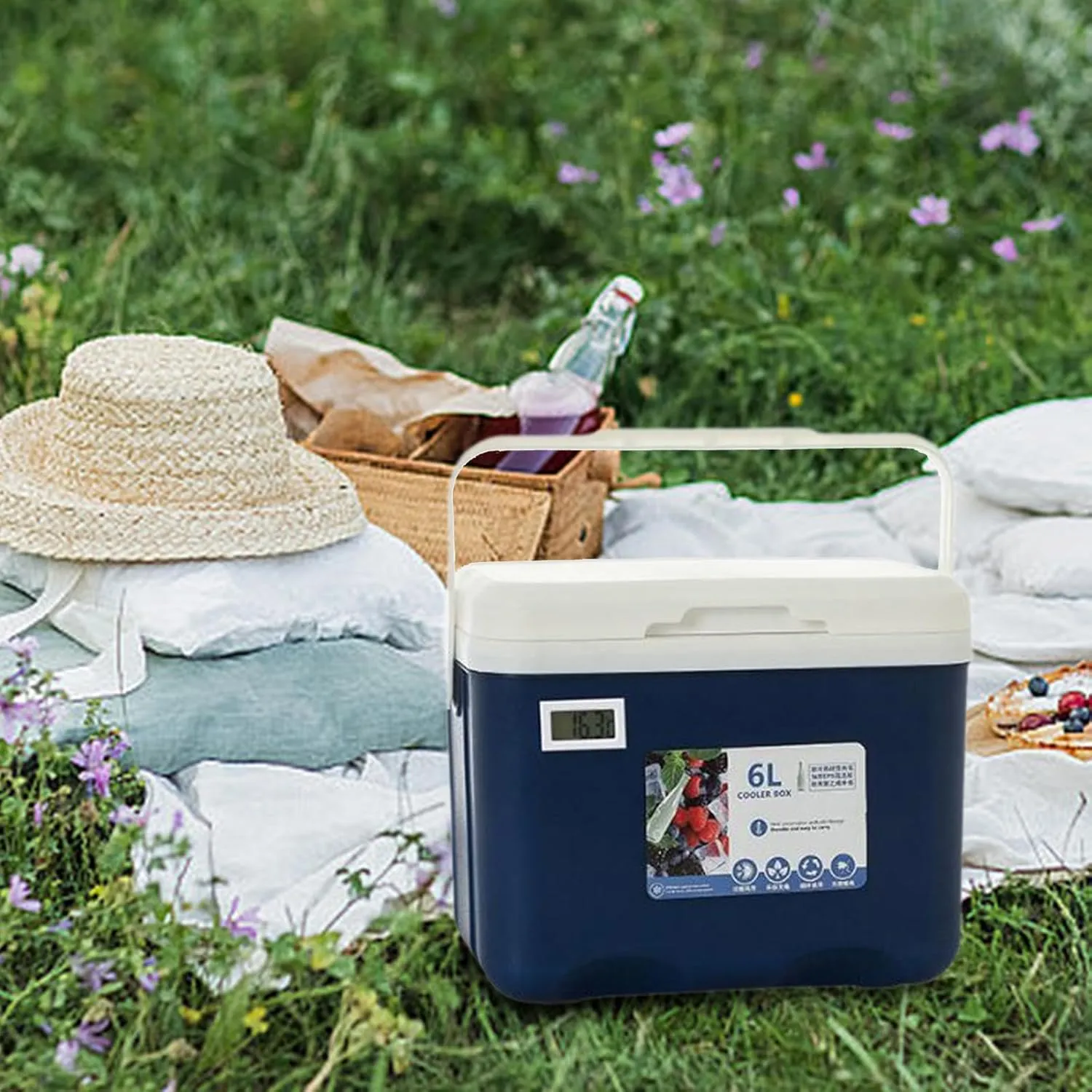 Cooler Box Insulated Box Personal Cold Storage Portable 6L Ice Chest Small Hard Ice Box for Beach Boat Barbecue Camping Food