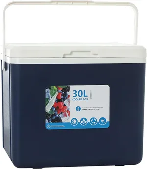 Cooler for Lynk 01/Lynk 02/Lynk 03/Lynk 05/Lynk 06/Lynk 09/Lynk Concept Insulated Hard Ice Box Large High-Performance Storage Box Portable Cool Picnic Box Festival,B-38 * 30.5 * 34.5cm