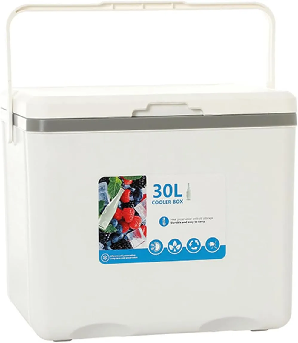 Cooler for ORA Ballet Cat/Black Cat/Funky Cat/Good Cat/Punk Cat/White Cat Insulated Hard Ice Box Large High-Performance Storage Box Portable Cool Picnic Box Festival,A-38 * 30.5 * 34.5cm
