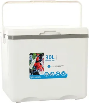 Cooler for ORA Ballet Cat/Black Cat/Funky Cat/Good Cat/Punk Cat/White Cat Insulated Hard Ice Box Large High-Performance Storage Box Portable Cool Picnic Box Festival,A-38 * 30.5 * 34.5cm