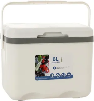 Cooler for Tesla Model 3/Model Y/Model X/Model S/Cybertruck Insulated Hard Ice Box Large High-Performance Storage Box Portable Cool Picnic Box Festival Camping,A-27 * 18 * 23cm