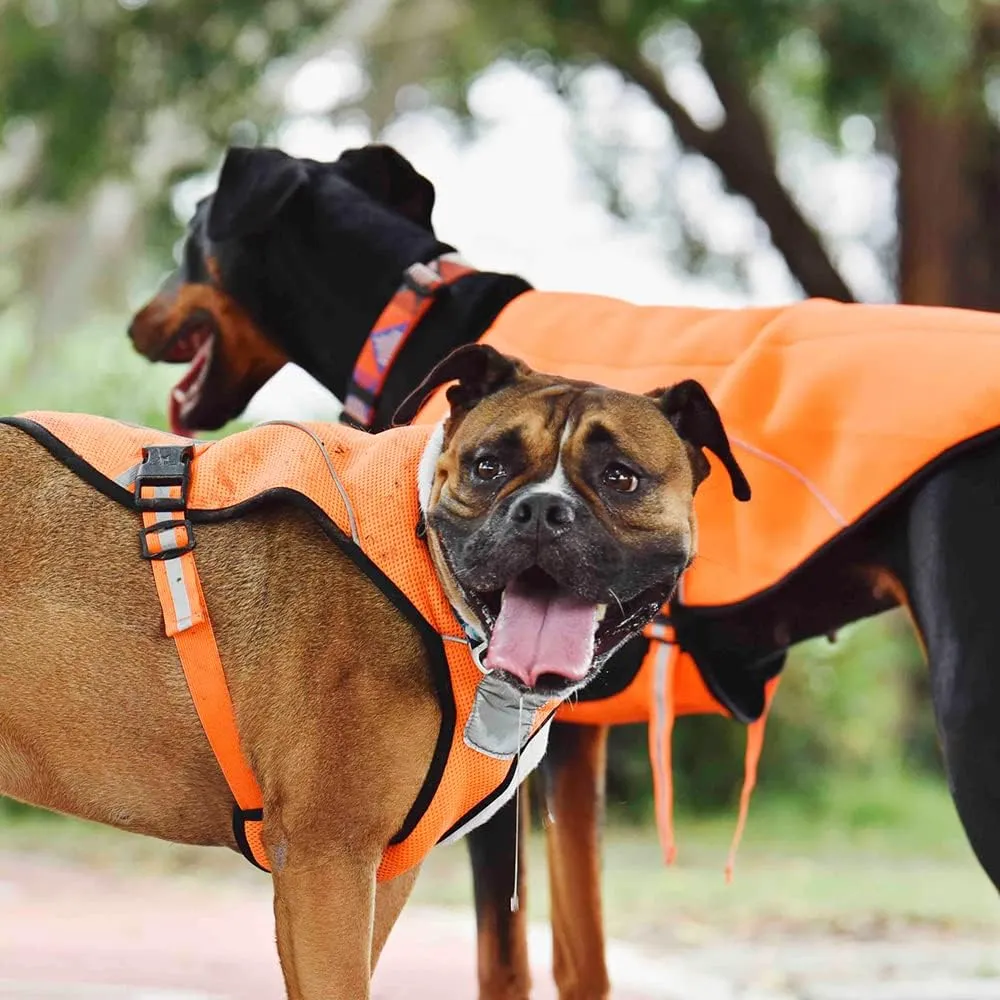 Dog Swamp Cooler Evaporative Cooling Vest Reflective Jacket for Small, Medium and Large Dogs, Summer Outdoor Walking, Hunting, Camping