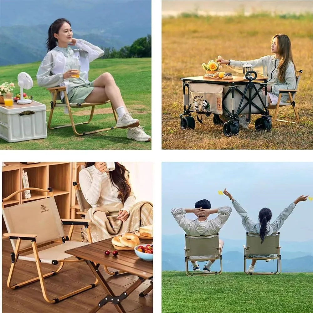 Foldable Outdoor Camping Chair, Portable Folding Beach Chair, Heavy Duty Seat Low Stool Lightweight for Picnic Fishing Hiking Lawn Backyard(Black,Large)