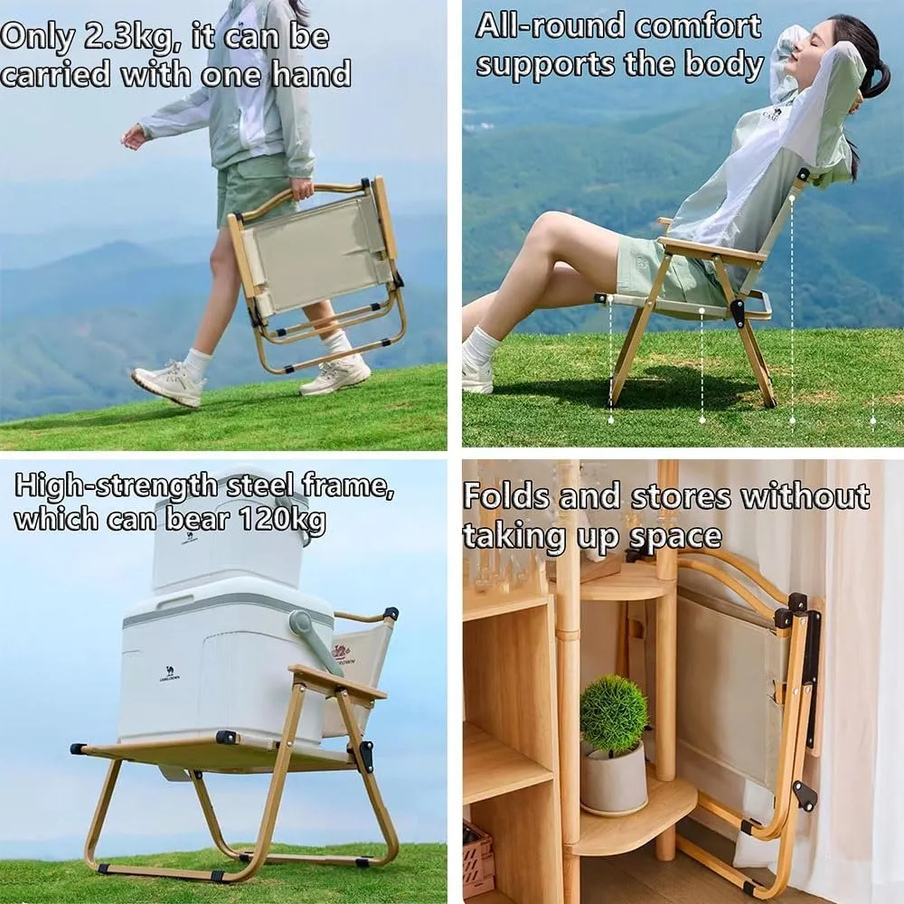 Foldable Outdoor Camping Chair, Portable Folding Beach Chair, Heavy Duty Seat Low Stool Lightweight for Picnic Fishing Hiking Lawn Backyard(Black,Large)