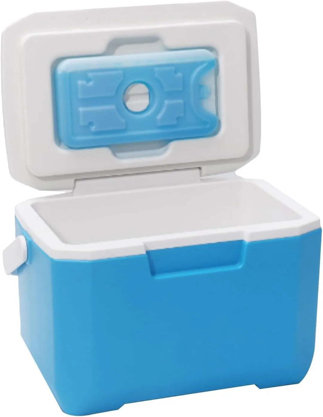 Hard Picnic Cooler, Car Fridge Cooler, Small Hard Cooler Insulated, Portable Travel Cooler, Outdoor Cooler With Ice Retention, Hard Shell Refrigeration Box For Beach, Tailgating, Groceries, Picnic, Bo