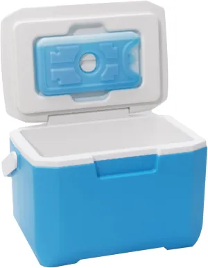 Hard Picnic Cooler, Car Fridge Cooler, Small Hard Cooler Insulated, Portable Travel Cooler, Outdoor Cooler With Ice Retention, Hard Shell Refrigeration Box For Beach, Tailgating, Groceries, Picnic, Bo