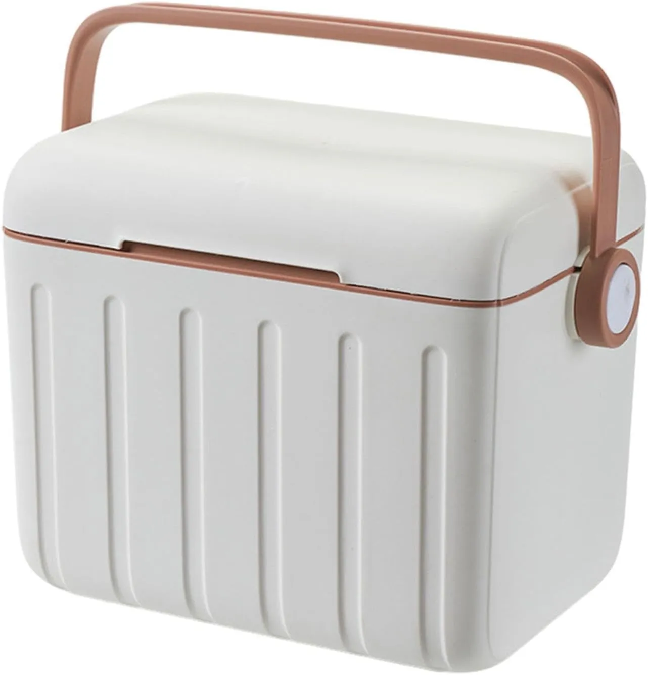Insulated Cooler Box Cold/Heat Preservation Cooler with Handle Carrier Container Ice Box for Beach Indoor Outdoor Picnic BBQ