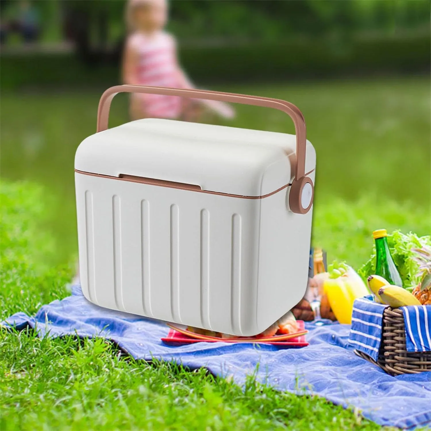 Insulated Cooler Box Cold/Heat Preservation Cooler with Handle Carrier Container Ice Box for Beach Indoor Outdoor Picnic BBQ
