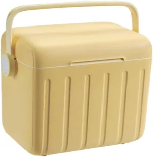 Insulated Cooler Box Ice Chest Box with Handle Storage Container Cold/Heat Preservation Cooler for BBQ Party Travel Fishing