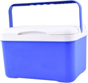 Insulated Cooler Box Ice Chest,Airtight Food Preservation,Cold Hot Preservation Cooler Beverage Storage Organizer for Party