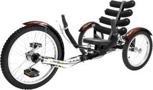 MOBO Cruiser