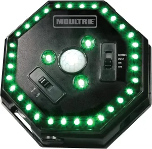 Moultrie Feeder Hog Light | 35 LEDs | 4-Way Switch | Attaches to Most MOU Feeders