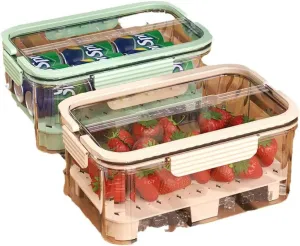 Portable Fresh-keeping Box, Outdoor Spring Outing, Large Capacity Food-grade Bento Box, Student Fruit Sealed Storage Box