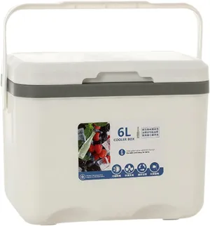 Portable Ice Cooler for Outdoor Activities - 6L Capacity