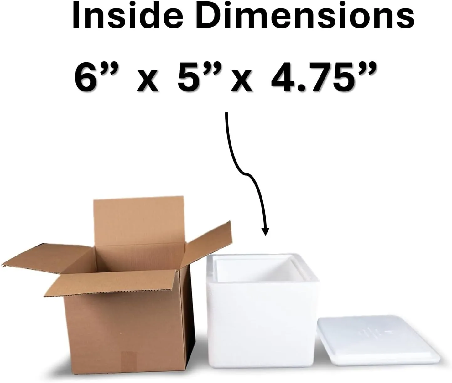 Robin II EPS Foam Cooler (Outside Dimensions: 9” x 8” x 7.5”) with Shipping Box - 3 Pack, Protective, Thermal, Insulated, Biodegradable, Recyclable, Shipping/Storage