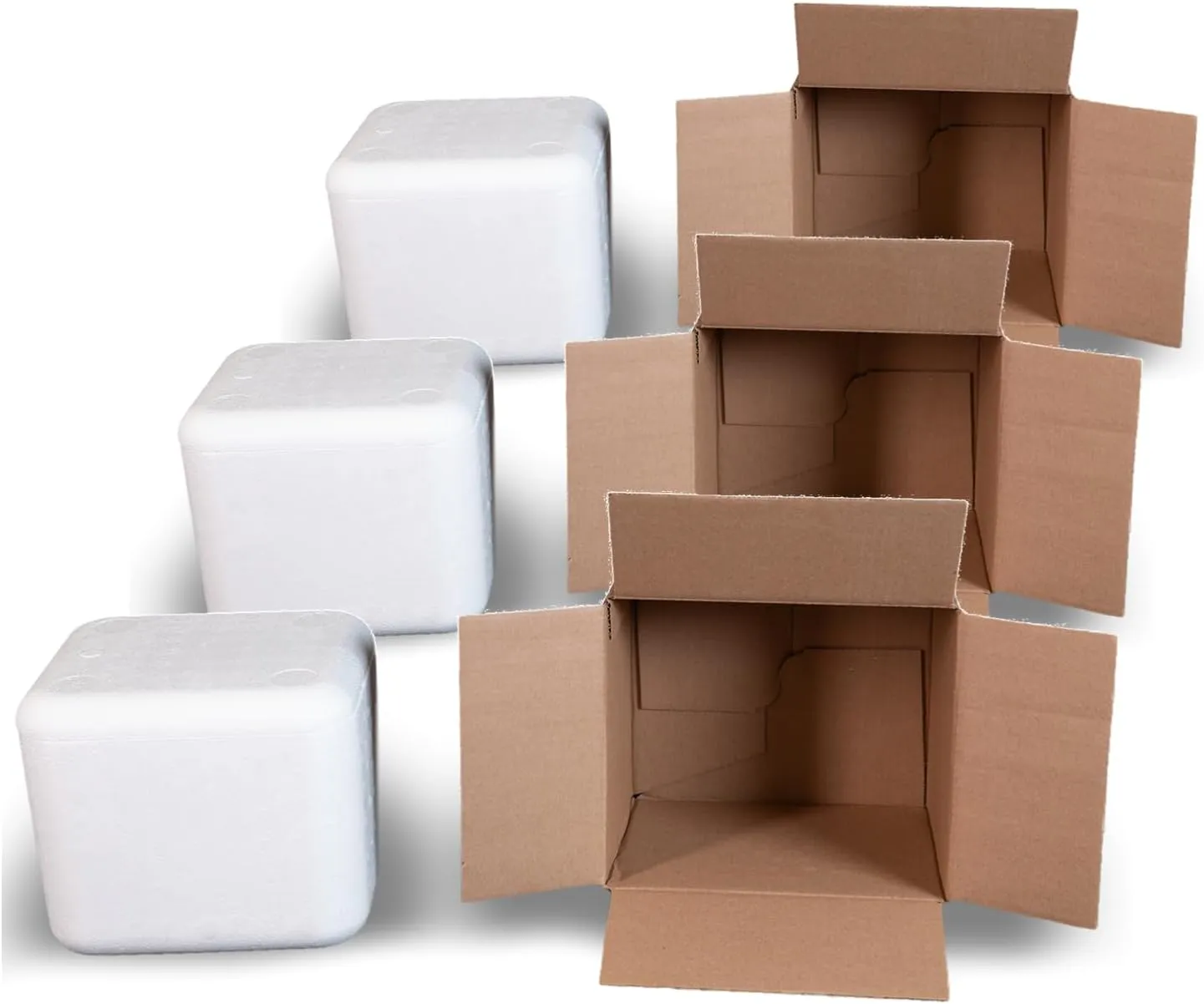 Robin II EPS Foam Cooler (Outside Dimensions: 9” x 8” x 7.5”) with Shipping Box - 3 Pack, Protective, Thermal, Insulated, Biodegradable, Recyclable, Shipping/Storage