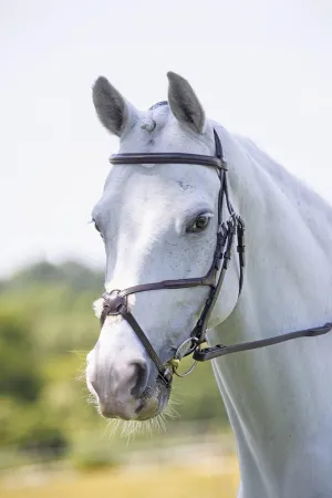 Shires Equestrian Velociti Rapida Figure 8 Bridle