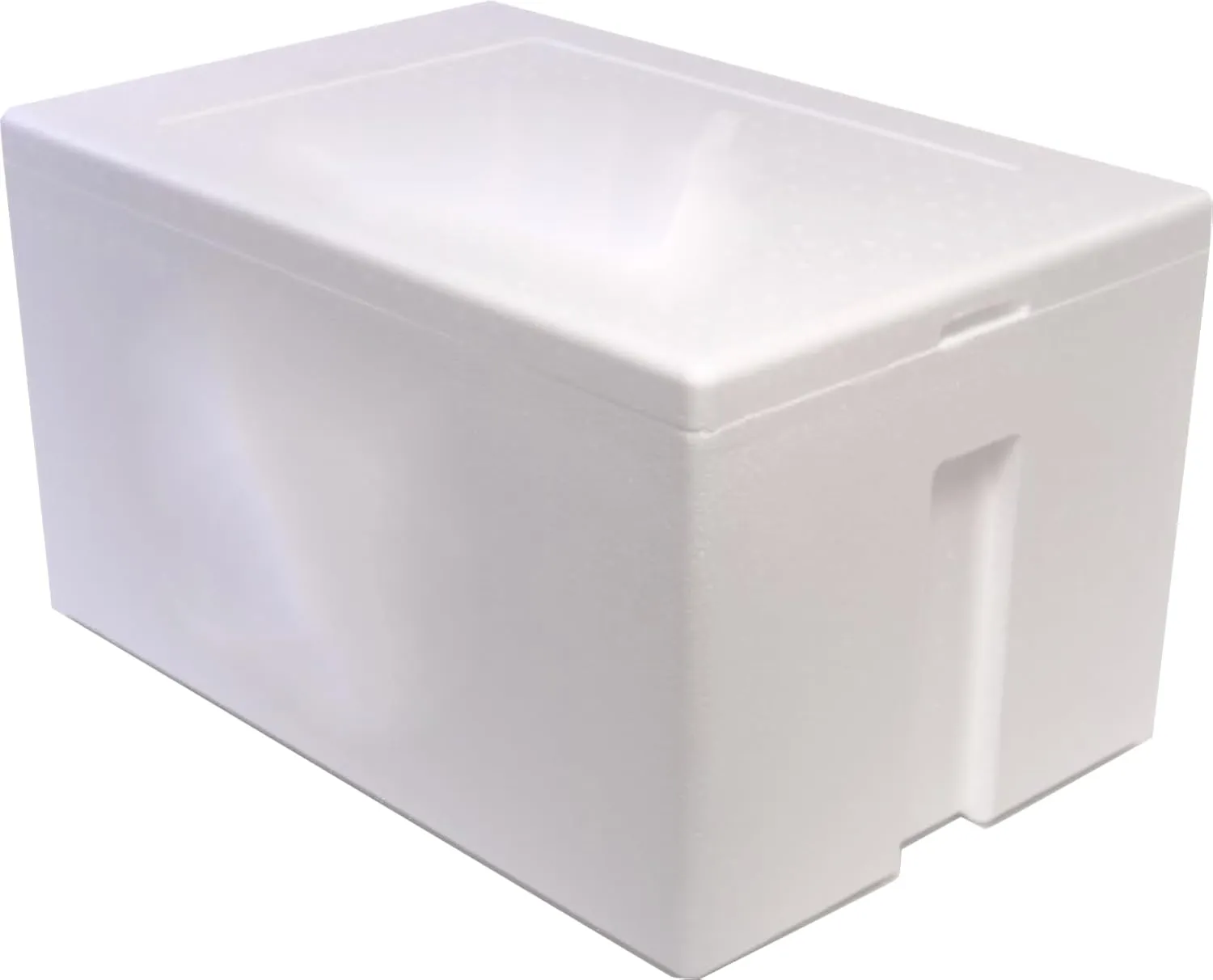 Styrofoam Cooler, Ice Chest (47qt)