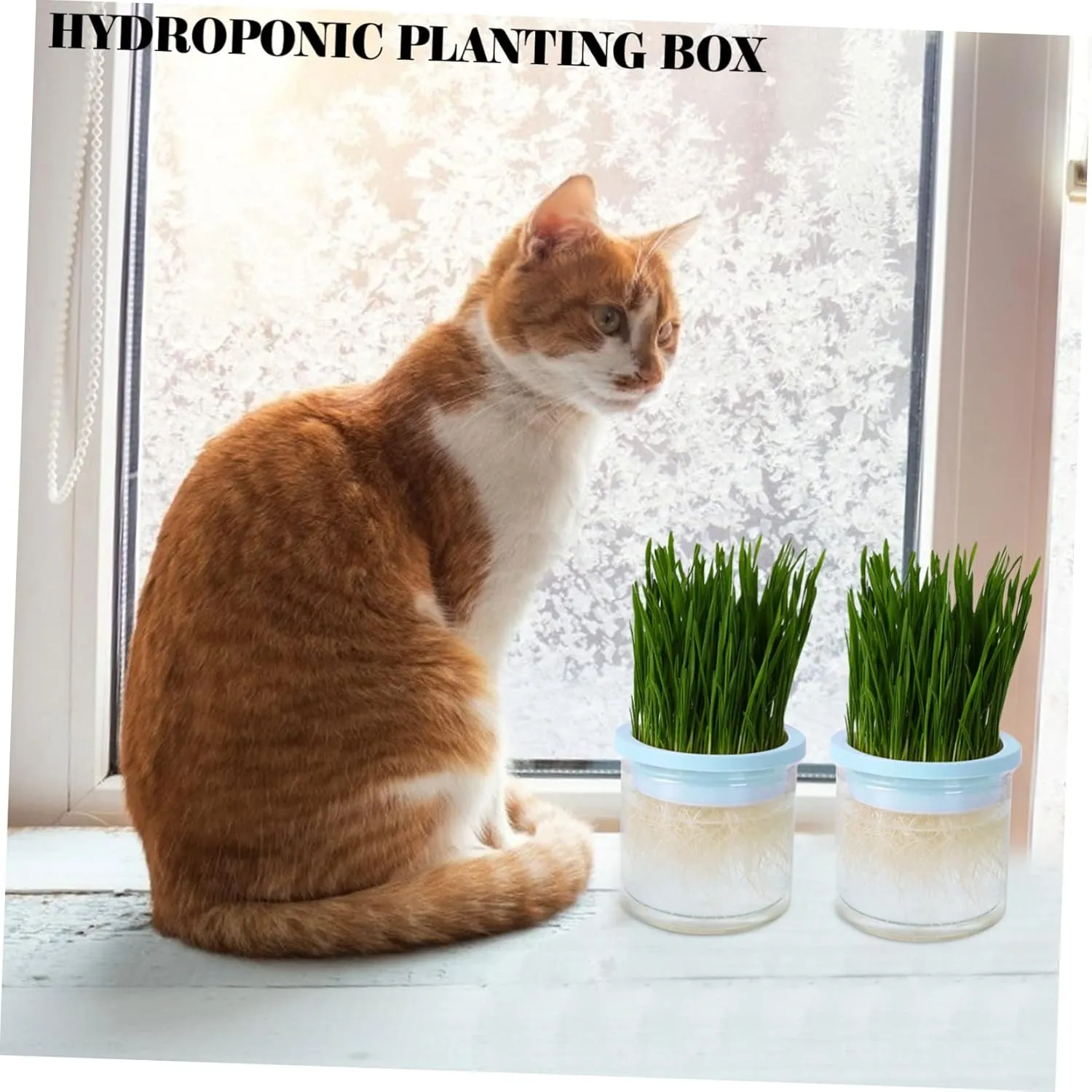SUPVOX 2pcs Hydroponic Cat Grass Planter Large Capacity Soilless Planting Box Indoor Cat Grass Holder Practical Pot